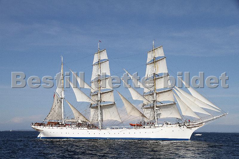 TSR2011_2 737.JPG